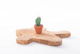 Cactussen