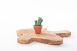 Cactussen