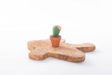 Cactussen
