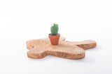 Cactussen