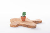 Cactussen