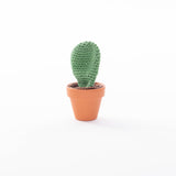 Cactussen