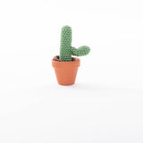 Cactussen
