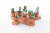 Cactussen