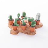 Cactussen