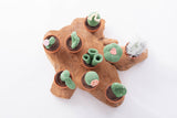 Cactussen