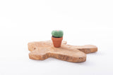 Cactussen