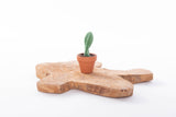 Cactussen
