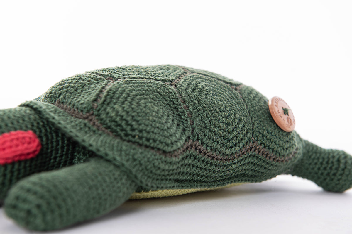 Kritiek Charles Keasing Geef energie Schildpad (roodwangschildpad) – Het Haakbeest
