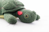 Schildpad (roodwangschildpad)