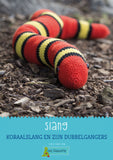 Slang