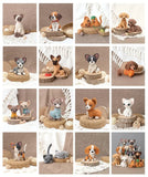 Amigurumi Honden en katten (pre-order, verschijnt 31/10/2025)