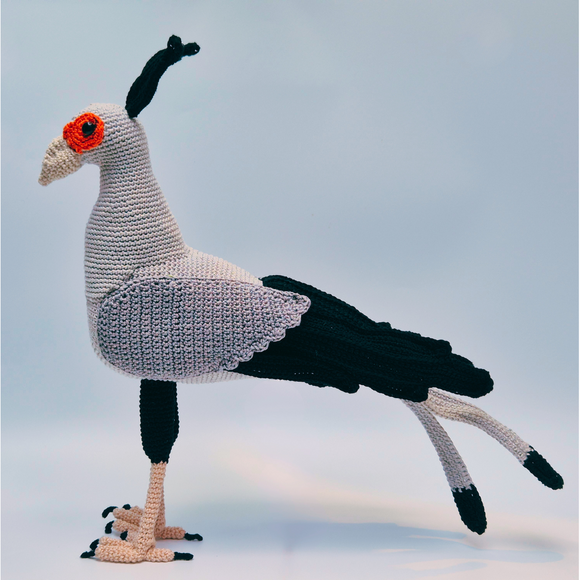 Patroon Secretarisvogel