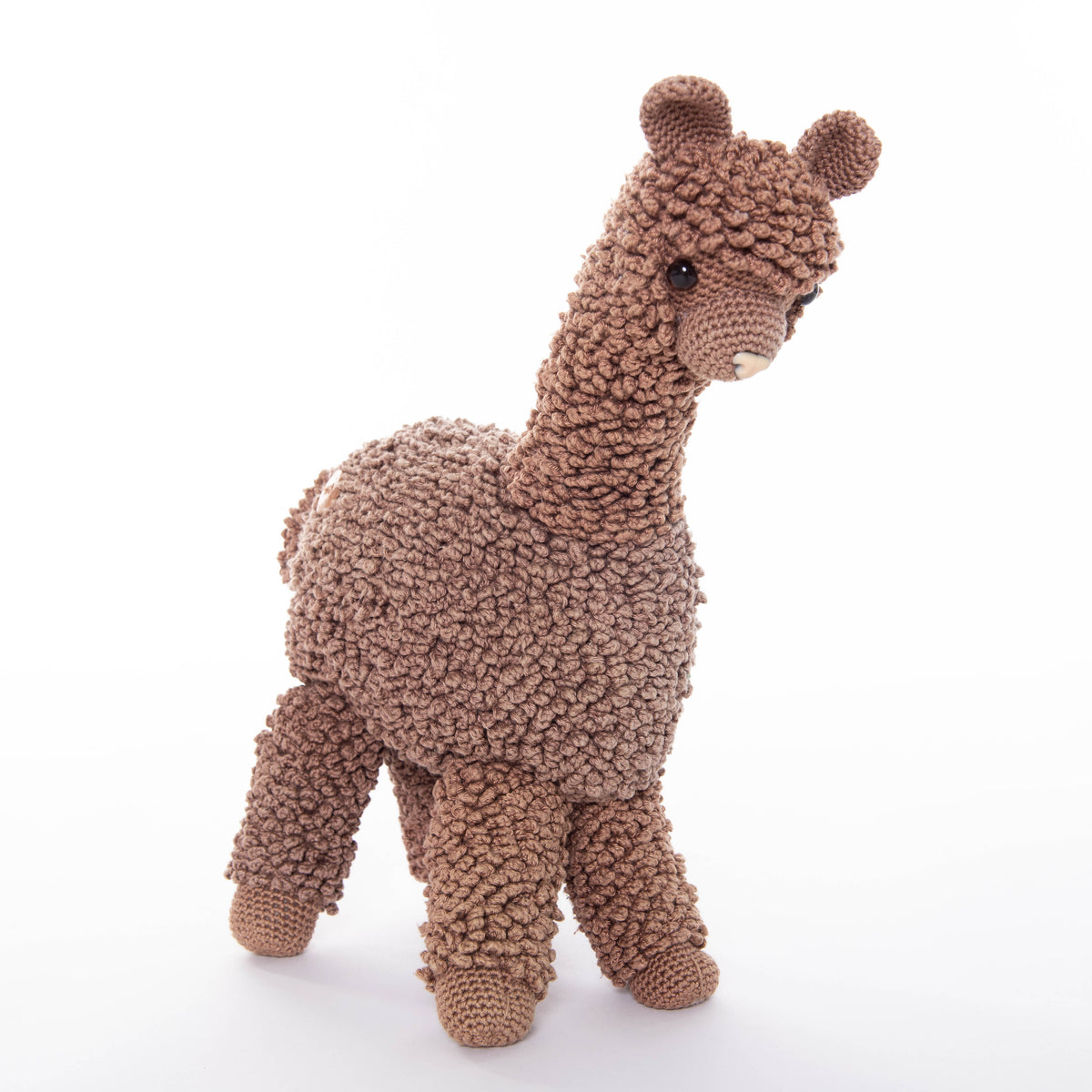 Onze Alpaca's | - Alpacas Zeelandia