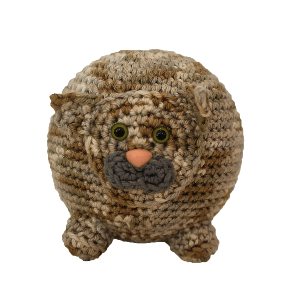Speelbal Poes - All-in Pakket